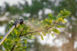 Voćari u problemu zbog pesticida: Samo još ovaj mjesec moguće korištenje klorpirifosa