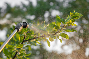 Voćari u problemu zbog pesticida: Samo još ovaj mjesec moguće korištenje klorpirifosa