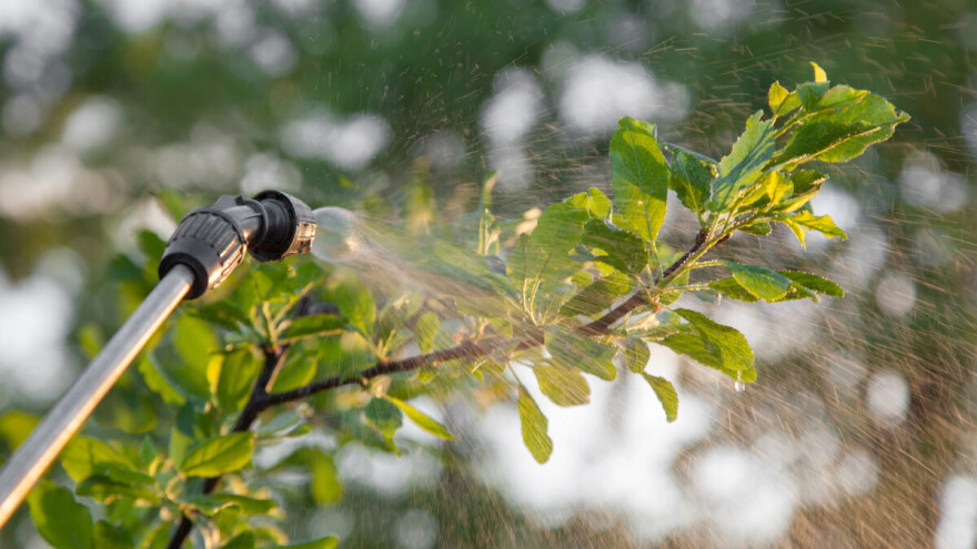 Voćari u problemu zbog pesticida: Samo još ovaj mjesec moguće korištenje klorpirifosa