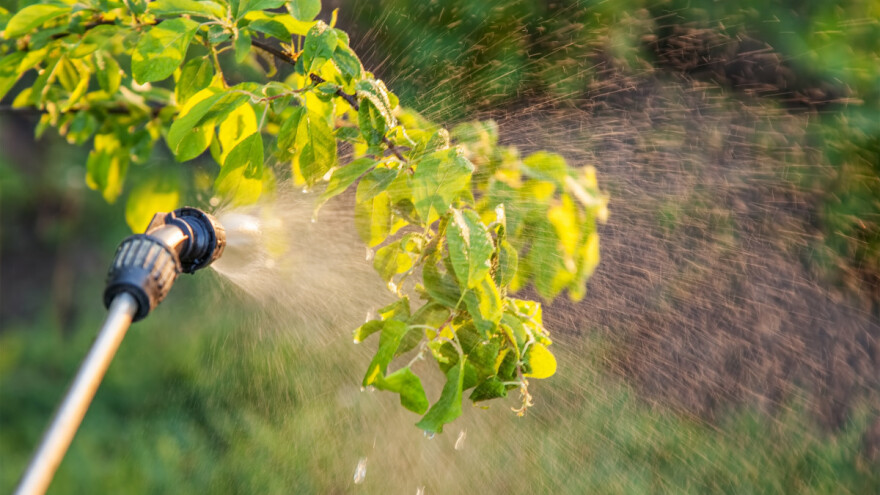 Odobrenje pesticida u EU traje više od šest godina - treba ubrzati proces