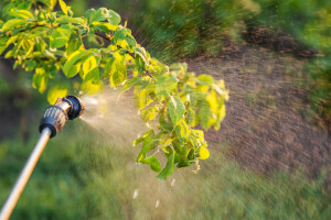 Odobrenje pesticida u EU traje više od šest godina - treba ubrzati proces