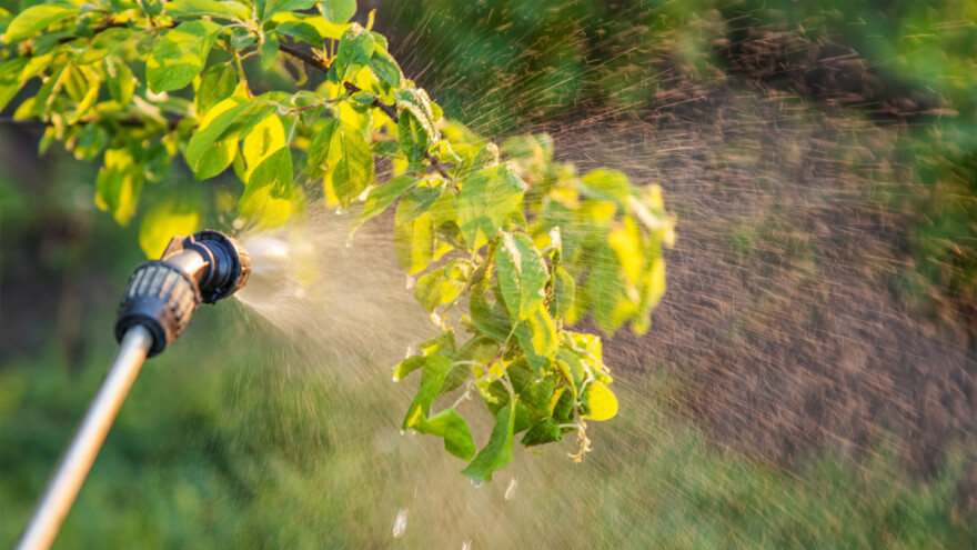 Odobrenje pesticida u EU traje više od šest godina - treba ubrzati proces