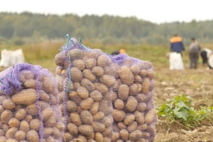 Proizvođači krumpira pobijedili giganta za piće i hranu - sad traže odštetu