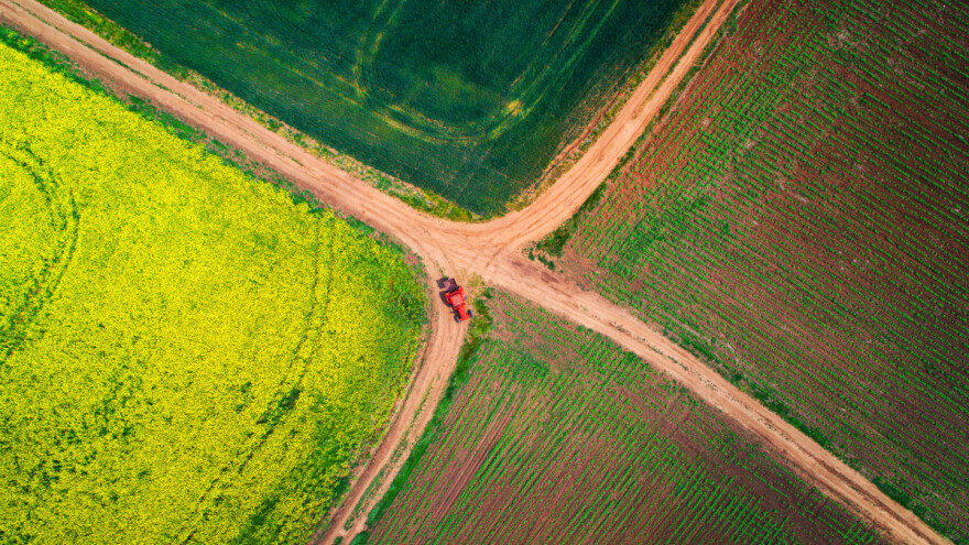 Cijene hrane i dalje padaju: Koji artikli su pojeftinili?