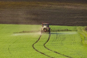 Smanjivanjem upotrebe pesticida zaustavljamo rastući pomor pčela