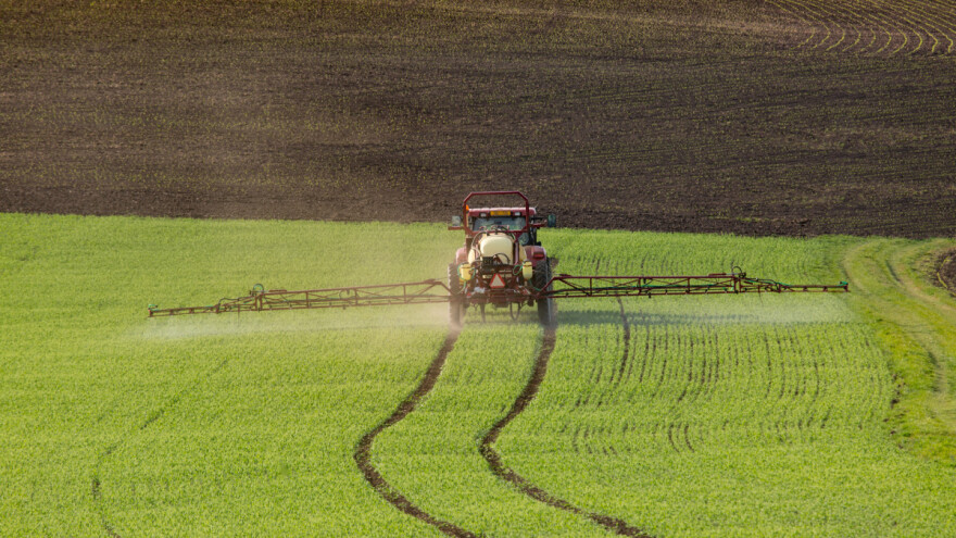 Smanjivanjem upotrebe pesticida zaustavljamo rastući pomor pčela