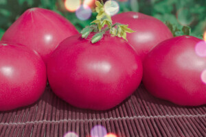 Pink rok paradajz osvaja tržište: Sladak, aromatičan i rodan hibrid