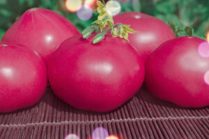 Pink rok paradajz osvaja naše tržište: Sladak, aromatičan i rodan hibrid