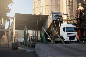 EU smo najviše izvozili kukuruz, a uvozili svinjsko meso