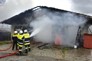U staji izbio požar - uginule svinje i pilići