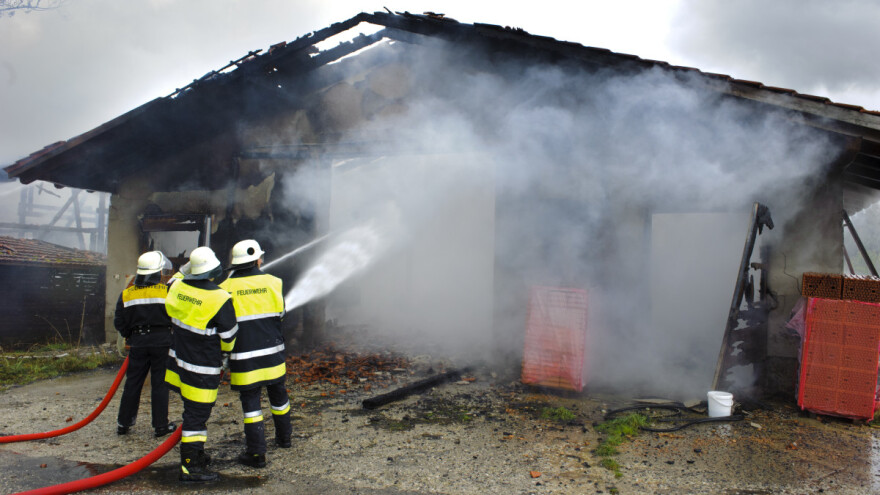 U staji izbio požar - uginule svinje i pilići