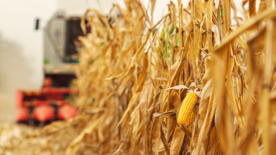 EP podržao strategiju Od polja do stola - što sad čeka poljoprivrednike?