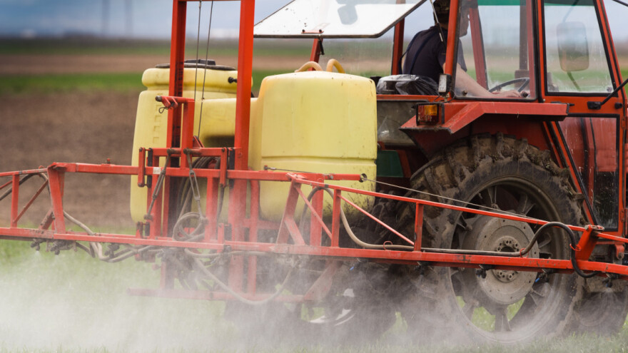 Kako pripremiti i očistiti prskalicu za proljeće?