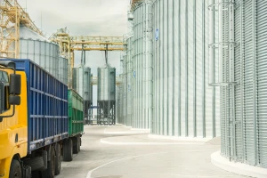 Porasla samo cena uljane repice na evropskom tržištu