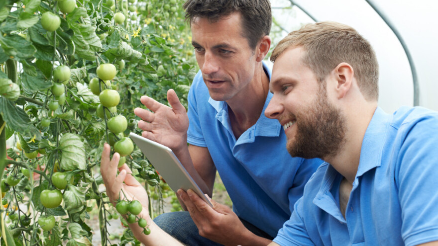 Prilika za startape i samostalne inovatore iz Srbije, nagrada - 5.000 evra