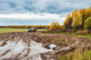 Kakvo nam vreme donosi jesen: Pretnja od poplava u oktobru?