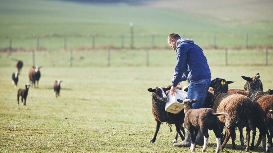 EU neće ispuniti cilj od 25 posto organske proizvodnje do 2030., upozorava studija