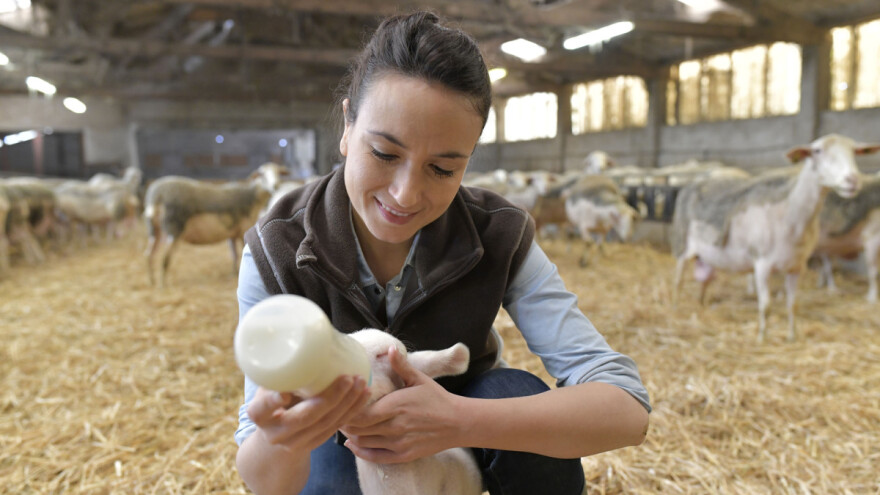 Samo 30 posto žena je vlasnica OPG-ova u Hrvatskoj