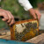 Dezinfekcija košnica i pčelarske opreme - kada i kako ju obaviti?