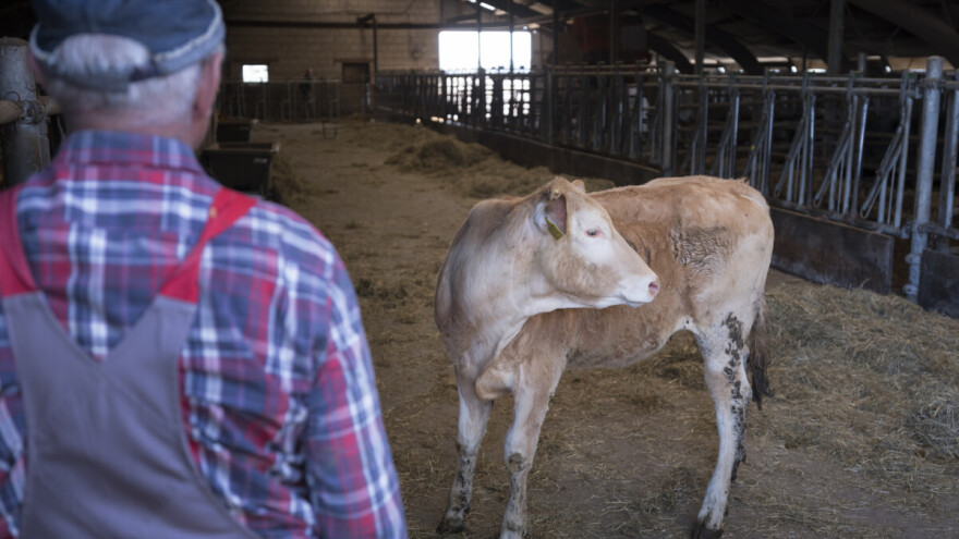 Preko 200 opisanih zoonoza prijeti zdravlju životinja, ali i ljudi