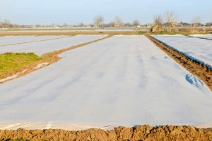 Zaštitite povrće pomoću agrotekstilnih folija