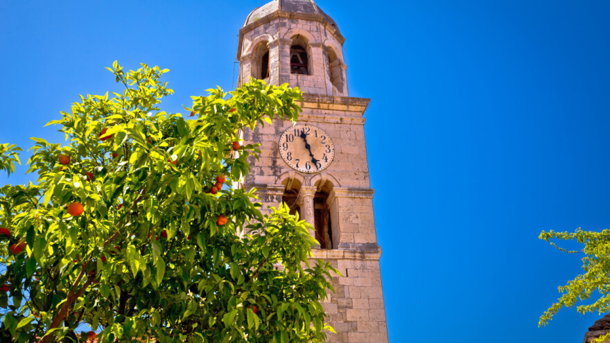 Udruga "Neretvanska mladež" zatražila hitnu izradu Pravilnika o mandarinama
