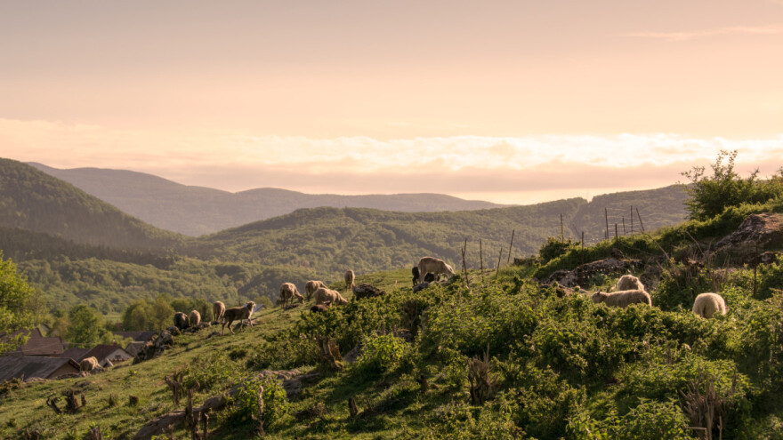 Bura oko lažne eko proizvodnje i vraćanja 3 milijarde kuna digla Hrvatsku na noge, što je istina?