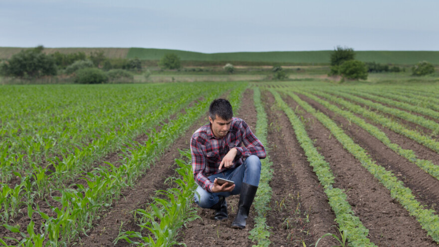 Udruga OPG-a Život: Vlada nudi odgodu plaćanja, a poljoprivredi treba konkretna pomoć