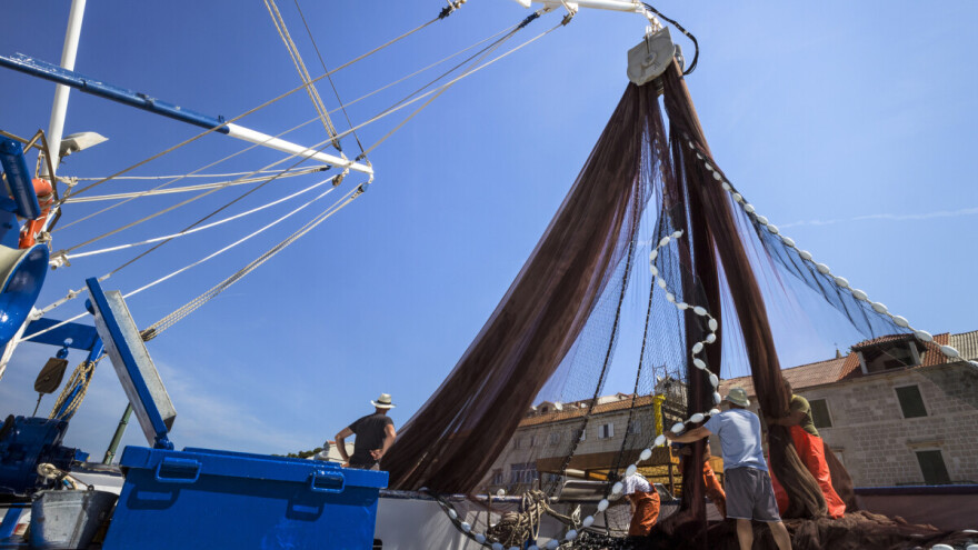 Ministarstvo poljoprivrede: Vrijednost ribarstva u 2018. porasla za gotovo 17 posto