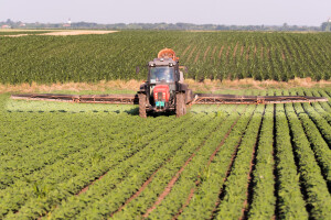 Traži se drastično smanjenje upotrebe kemijskih pesticida