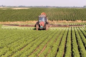 Traži se drastično smanjenje upotrebe hemijskih pesticida
