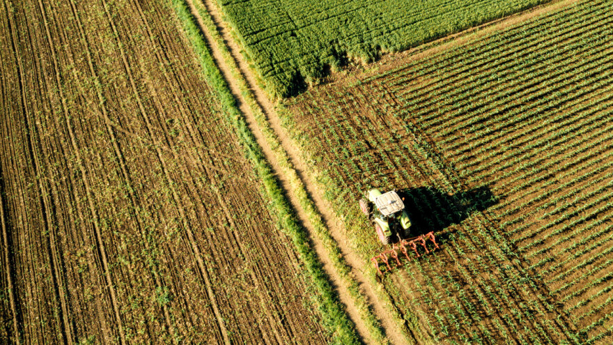 Međuredna kultivacija i prihrana kukuruza - pazite na korijen, gnojivo ne bacajte omaške