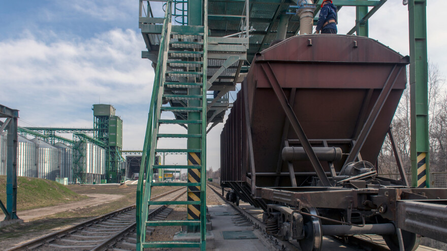 Postignut napredak oko izvoza ukrajinskih žitarica?  Žetva u punom jeku