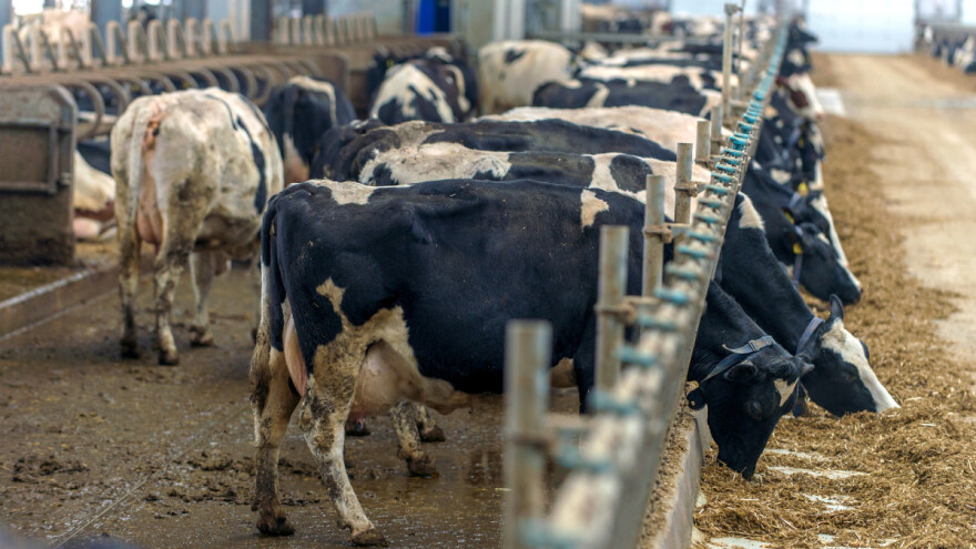 Metan iz osoke - nazire se rešenje za ovaj globalni problem?