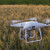 Dronovi i roboti: Novosadski startap u potrazi za velikim agro partnerom