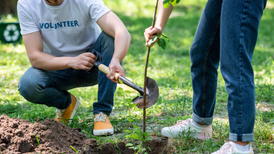 Umjesto cvijeća na vjenčanju, Ena i Ebrahim novac uložili u sadnju šume!