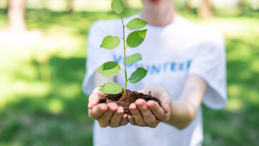 Znate li kad vam treba biljna putovnica ili što je biljno zdravstvo?