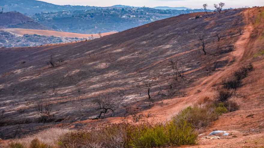 Požar guta farme, pašnjake, poljoprivrednici prodaju stoku jer nemaju čime da je hrane