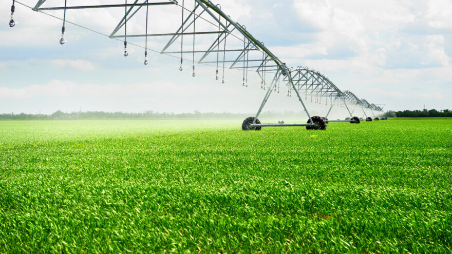 Problem suše nauka će riješiti drvenim granulatom?