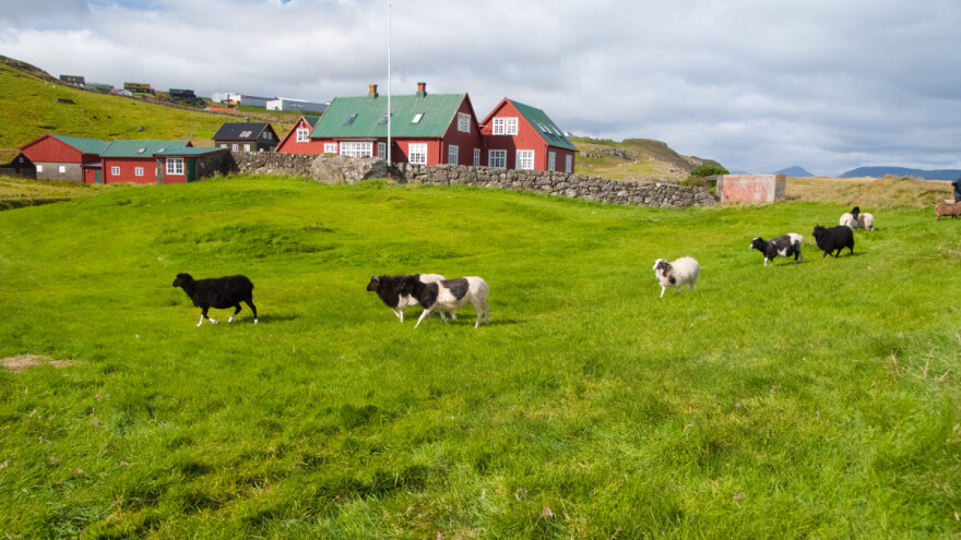 Poljoprivrednici u Danskoj zarađuju više od 100.000 eura godišnje? Koliki je EU prosjek?