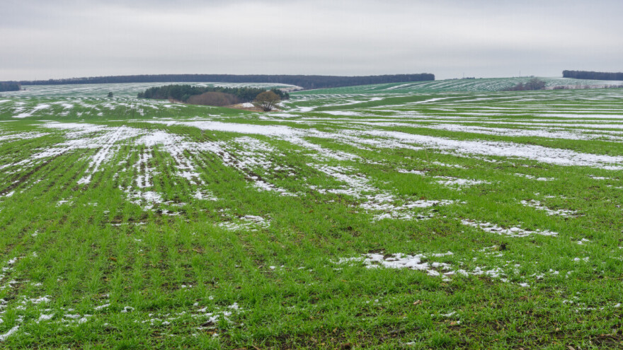 Usjevi u fazi uspavanosti zbog nestabilnog vremena u Ukrajini