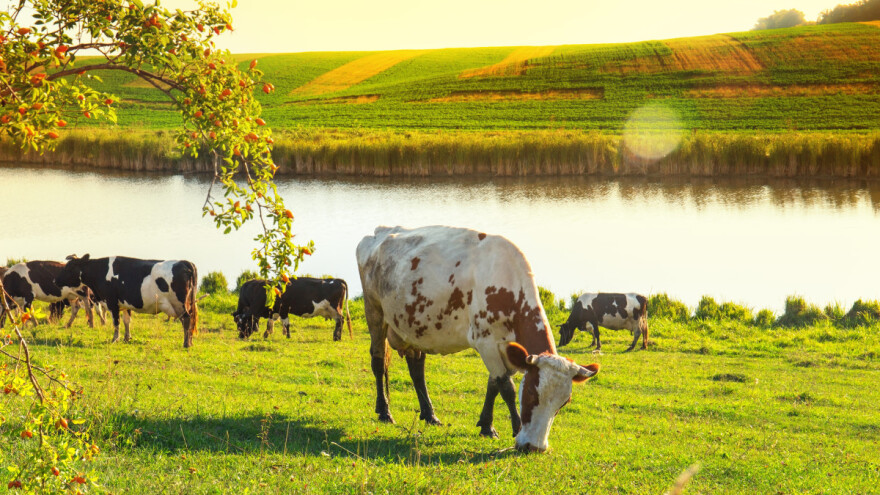 Iznad nas je toplotna kupola - trajaće danima i doneti veliko nevreme?