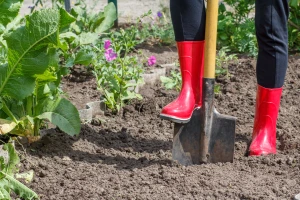 Čitaoci Agrokluba izabrali TOP 3 poljoprivrednice BiH