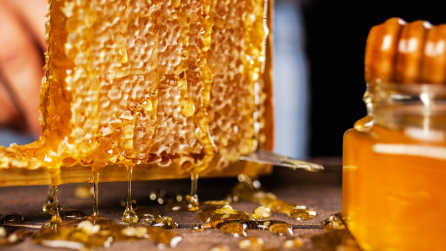 Nabavka opreme i uređaja za preradu, pakovanje i skladištenje pčelinjih proizvoda