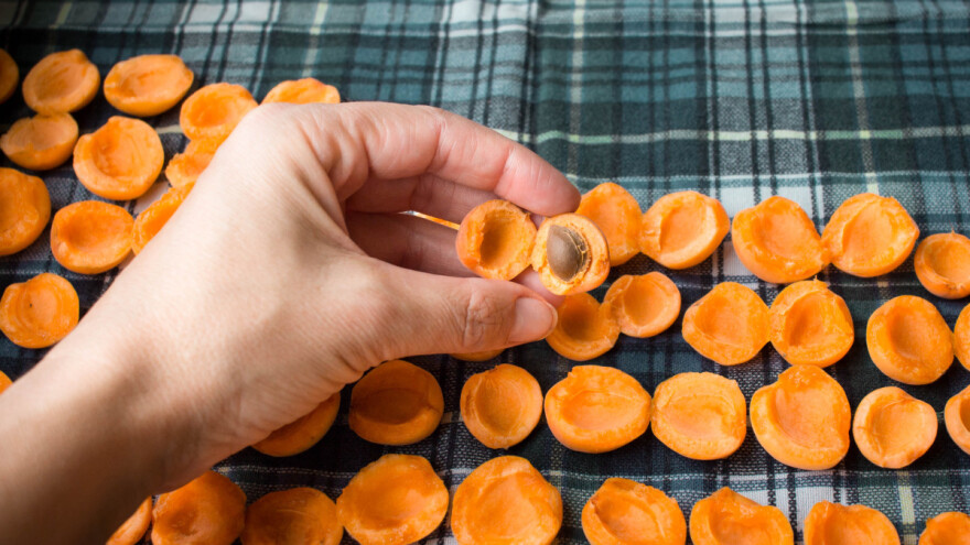 Sušenje je najstariji način čuvanja voća