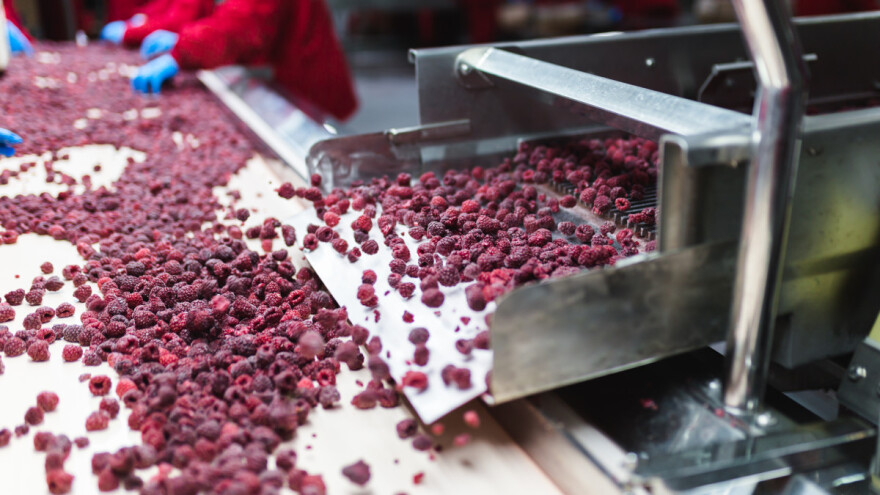 Maline: Vlada Srbije pomaže hladnjačarima u otplati kredita na godinu dana