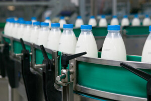 Srbija ograničila rast cijena osnovnih namirnica narednih 90 dana