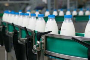 Uvezli smo više od 49 miliona litara mlijeka i pavlake u 11 mjeseci prošle godine
