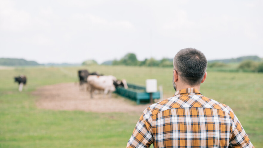FBiH: Obezbjeđeno 103 miliona KM za podršku poljoprivredi