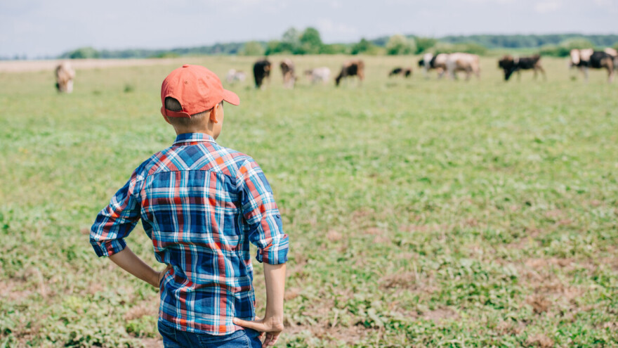 Poljoprivreda u obrazovanju dece